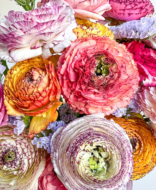 Bloomer love!