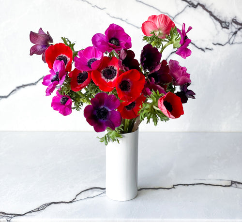 Blooming Brampton with speedy same-day flower delivery!
