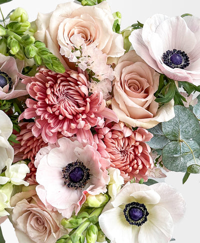 Fine and Sandy (16+ stems)