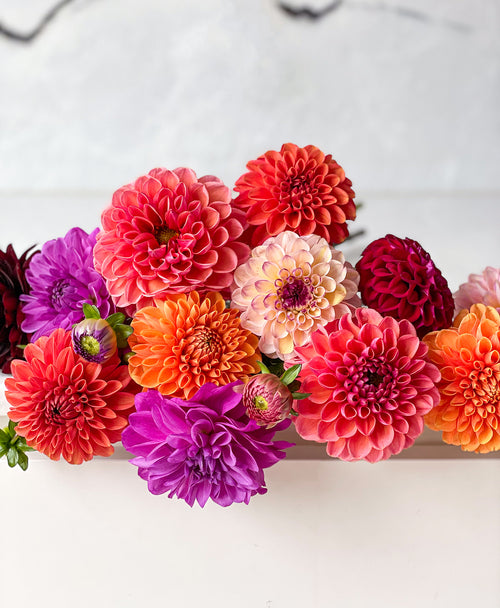 The fastest same-day flower delivery in North York, Ontario