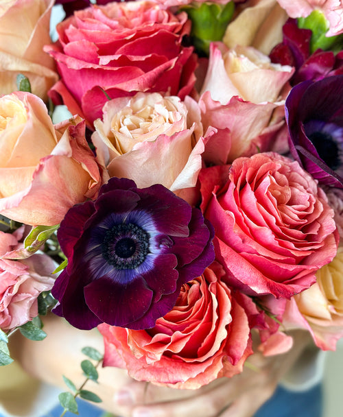 Miss Scarlet (22+ stems)