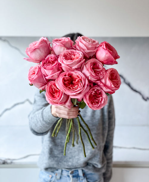 Pink Expression Garden Roses (12 stems)