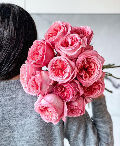 Pink Expression Garden Roses (12 stems)