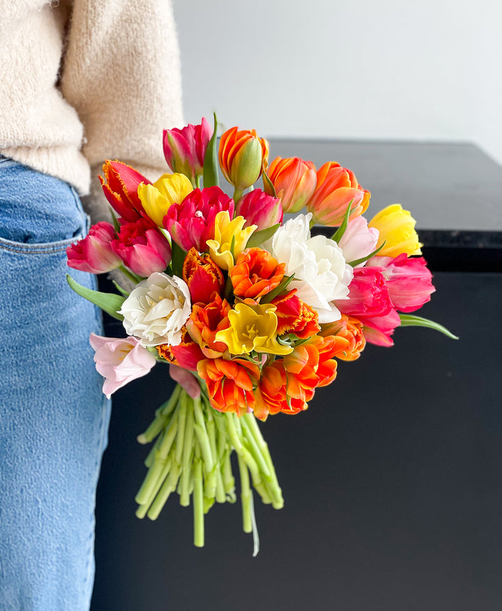 Send tulips in Toronto and the GTA