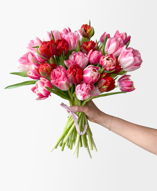 Two-lips Kiss (30 double tulips)
