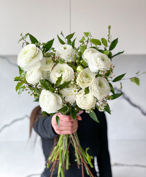 Porcelain White Ranunculus (12+ stems)