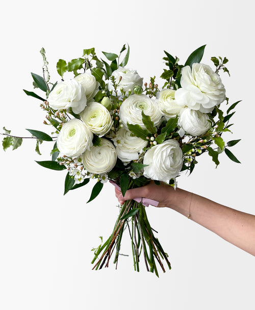 Porcelain White Ranunculus (12+ stems)