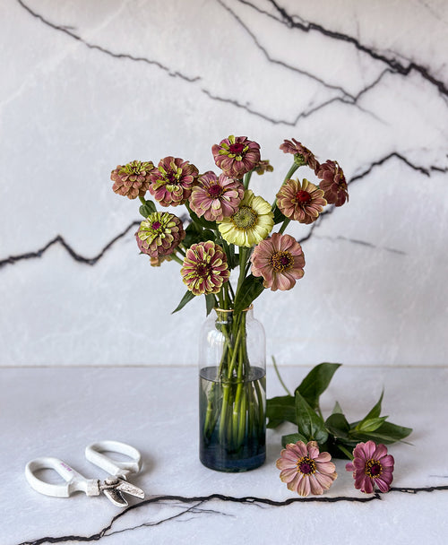 The Zinncredibles! (15 stems, arrives in vase)