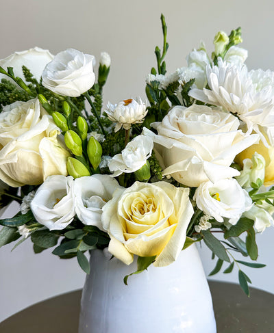 North Star Farmboy (360 centrepiece)