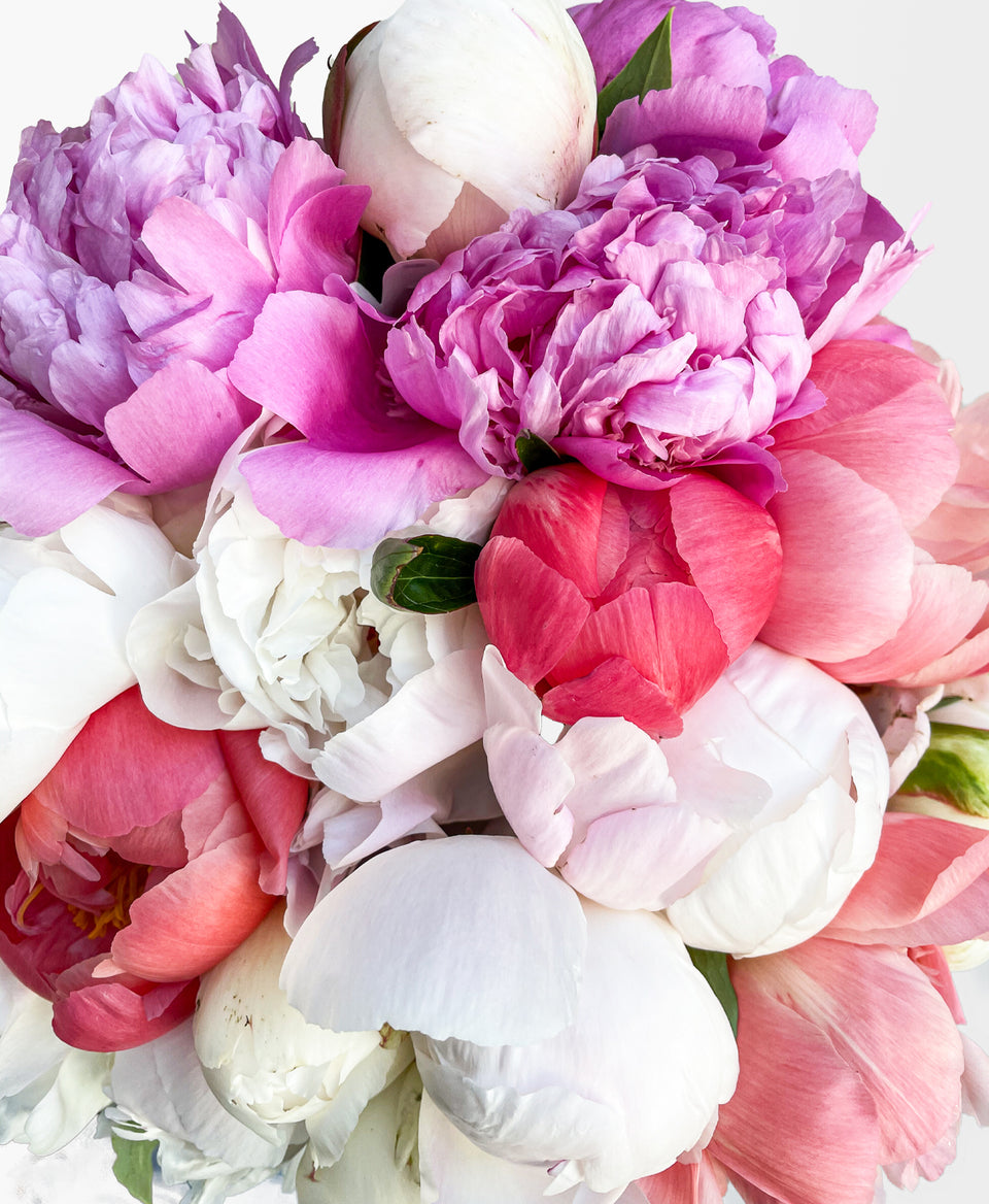 Peonies