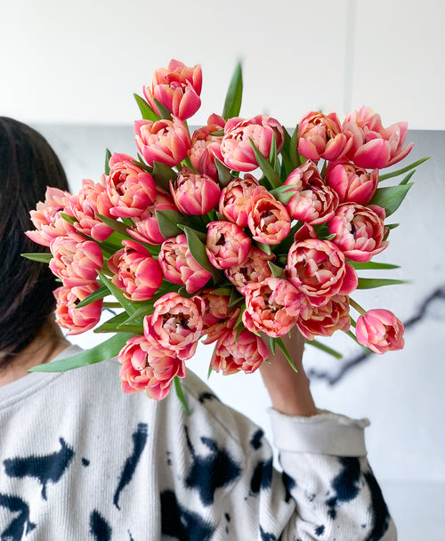 Punchy Pink Double Tulips (30 stems)