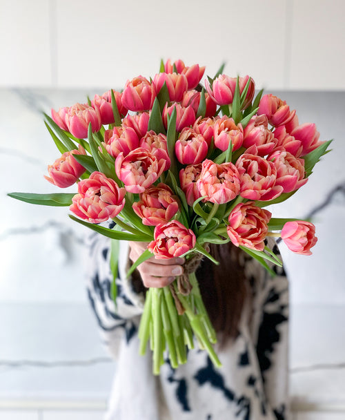 Punchy Pink Double Tulips (30 stems)
