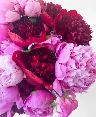 DOUBLE Peo-need 'em! (24 Stems)