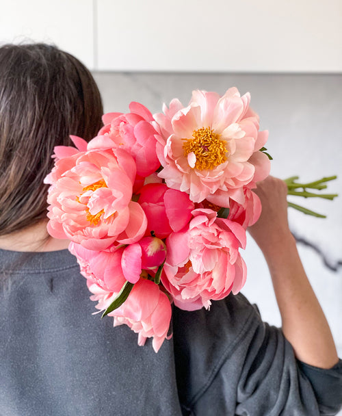 Coral Flamingo Peonies (10 stems)