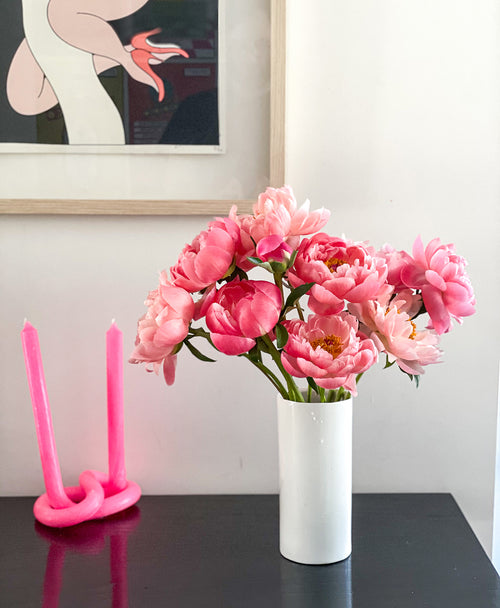 Coral Flamingo Peonies (10 stems)