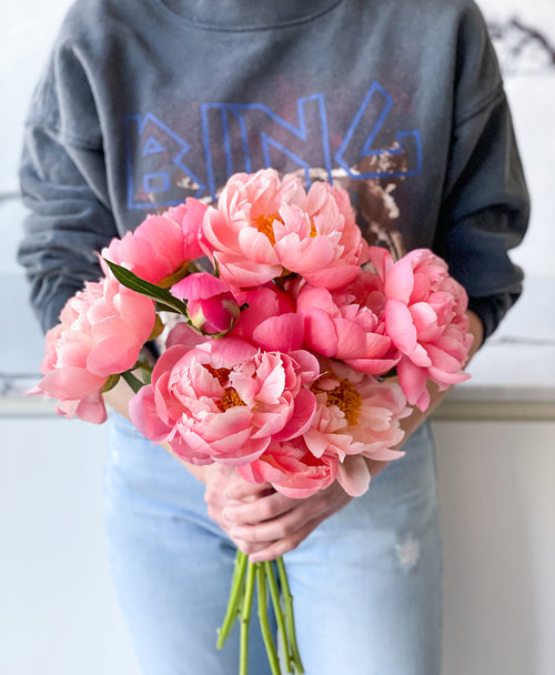Coral Flamingo Peonies (10 stems)