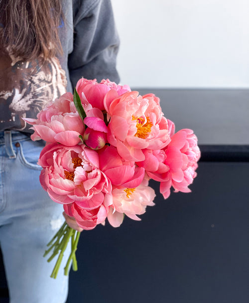 Coral Flamingo Peonies (10 stems)