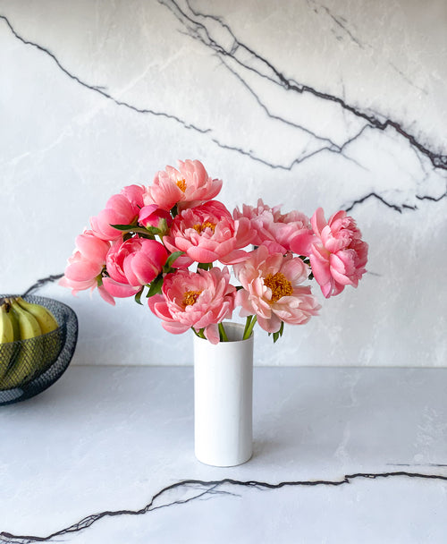 Coral Flamingo Peonies (10 stems)