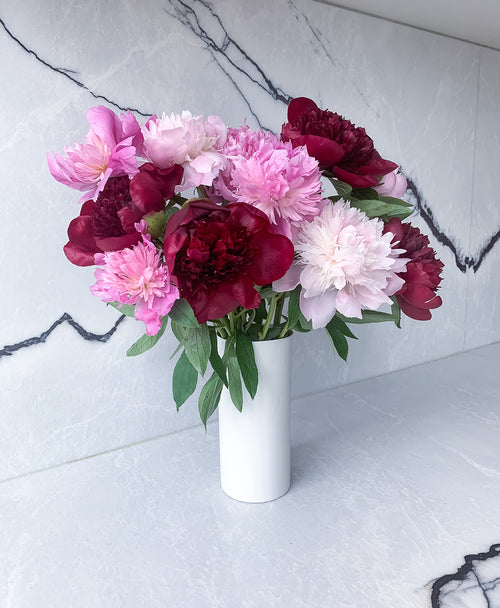 Peo-need 'em! (12 Stems)