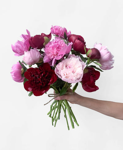 Peo-need 'em! (12 Stems)