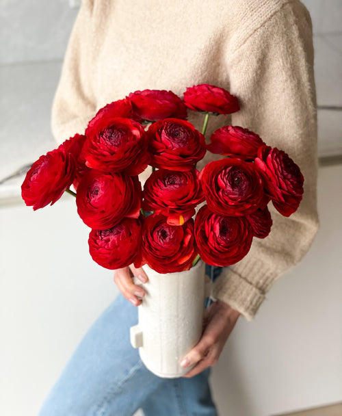 Red Velvet Ranunculus (18 stems)
