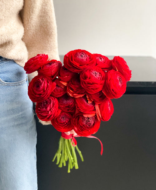 Red Velvet Ranunculus (18 stems)