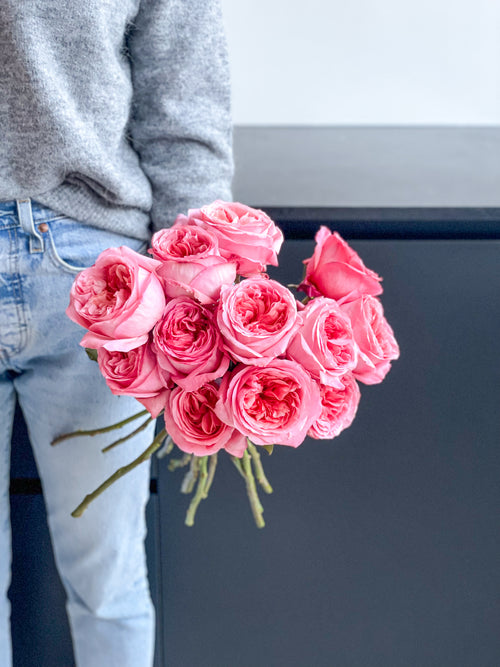 Pink Expression Garden Roses (12 stems)