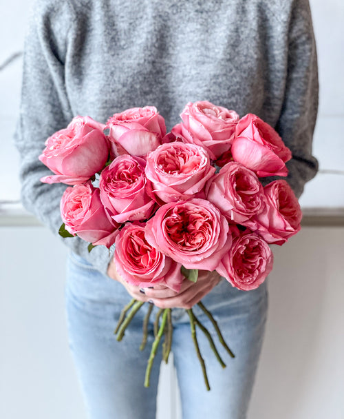Pink Expression Garden Roses (12 stems)