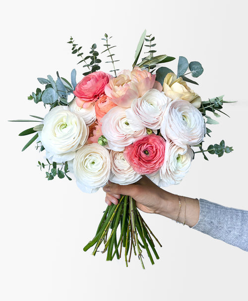 New Leaf Ranunculus (15+ stems)