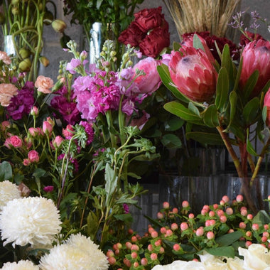 Florist Insider: Expert Tips for Fresh, Long-Lasting Blooms