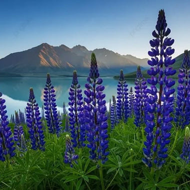 Flower Color Meanings: What Your Bouquet Really Says