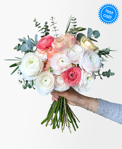 New Leaf Ranunculus (15+ stems)