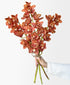Terracotta Cymbidium (3 stalks, 24+ blooms)