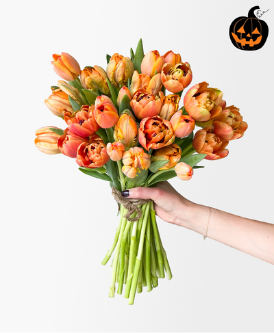 Atomic Orange Double Tulips (30 stems)