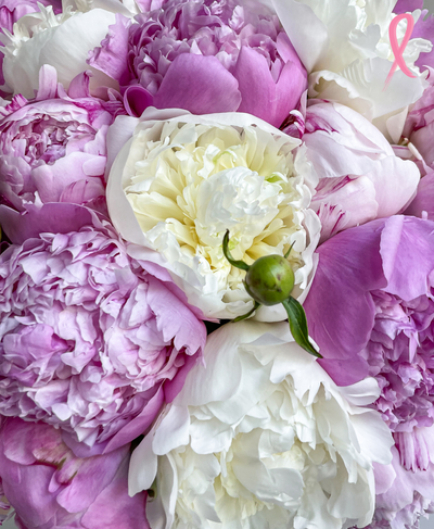 Double Scoop of Peonies (20 Stems)