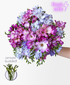 Cosmic Freesia (50 stems, 100+ blooms)