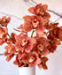 Terracotta Cymbidium (3 stalks, 24+ blooms)