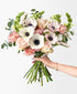 Fine and Sandy (16+ stems)