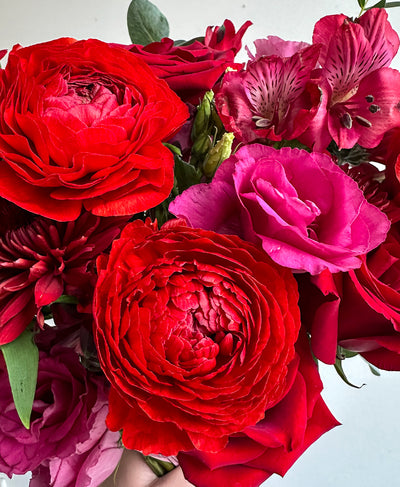 Apple Of My Eye (19+ stems)