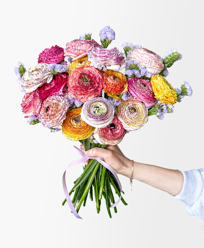Tonic Blooms  on demand and same-day Toronto flower delivery