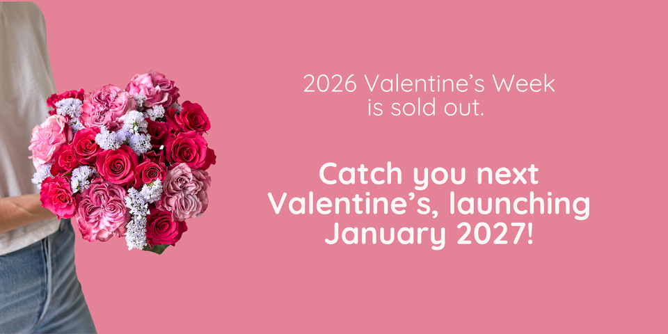 Valentines Day Flowers