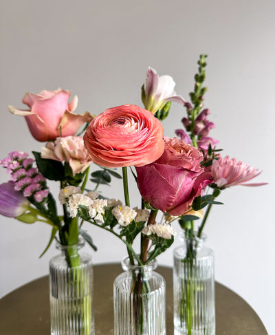 Buddy System (Colourful)