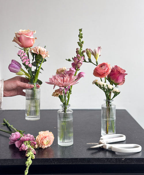 Buddy System (Colourful)