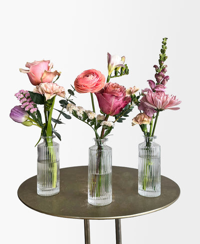 Buddy System (Colourful)