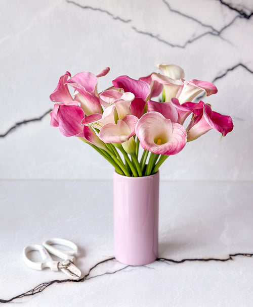 Calla On Me (20 Stems)