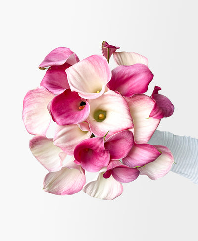 Calla On Me (20 Stems)