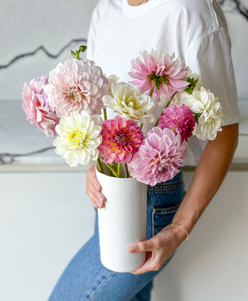 Dahzzling Dahlias (12 stems)