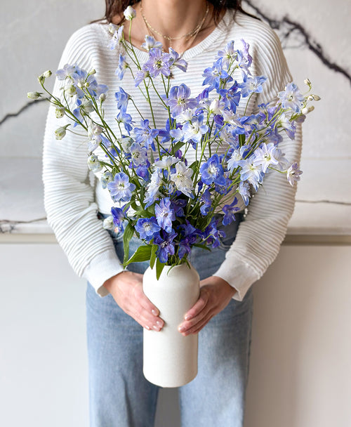 Blue Wave Delphinium (Arrives in vase)