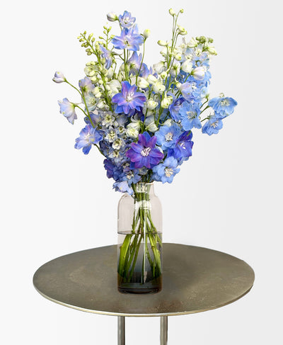 Blue Crush (Arrives in vase)