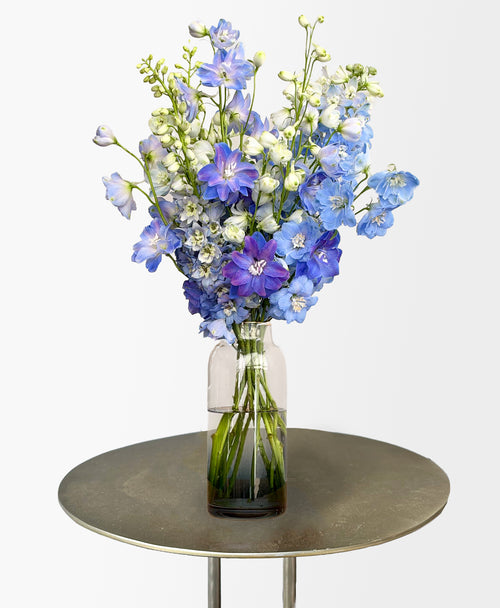 Blue Crush (Arrives in vase)